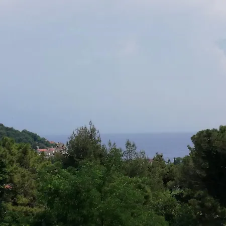Alex Apartamento *